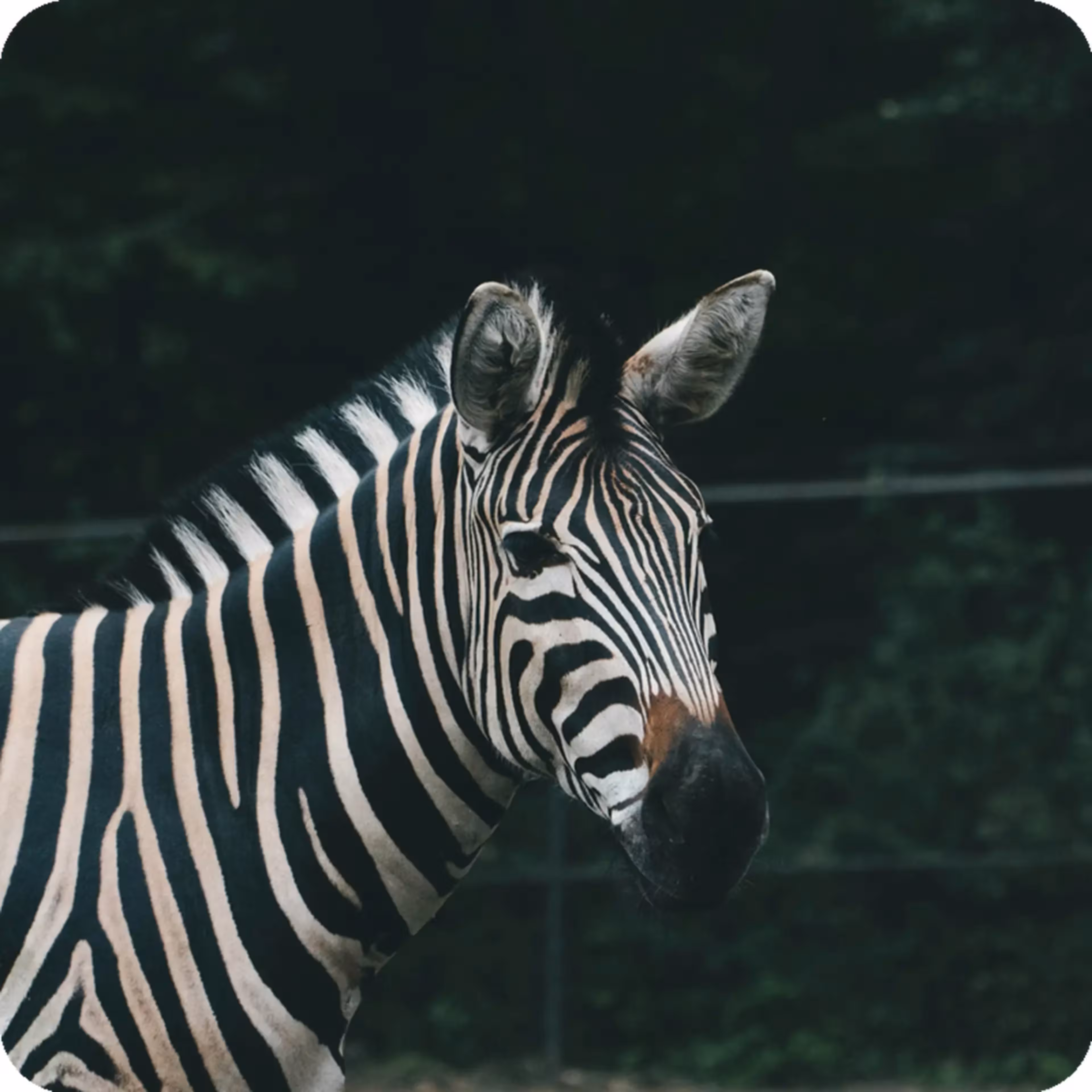 Germany EasyPark app