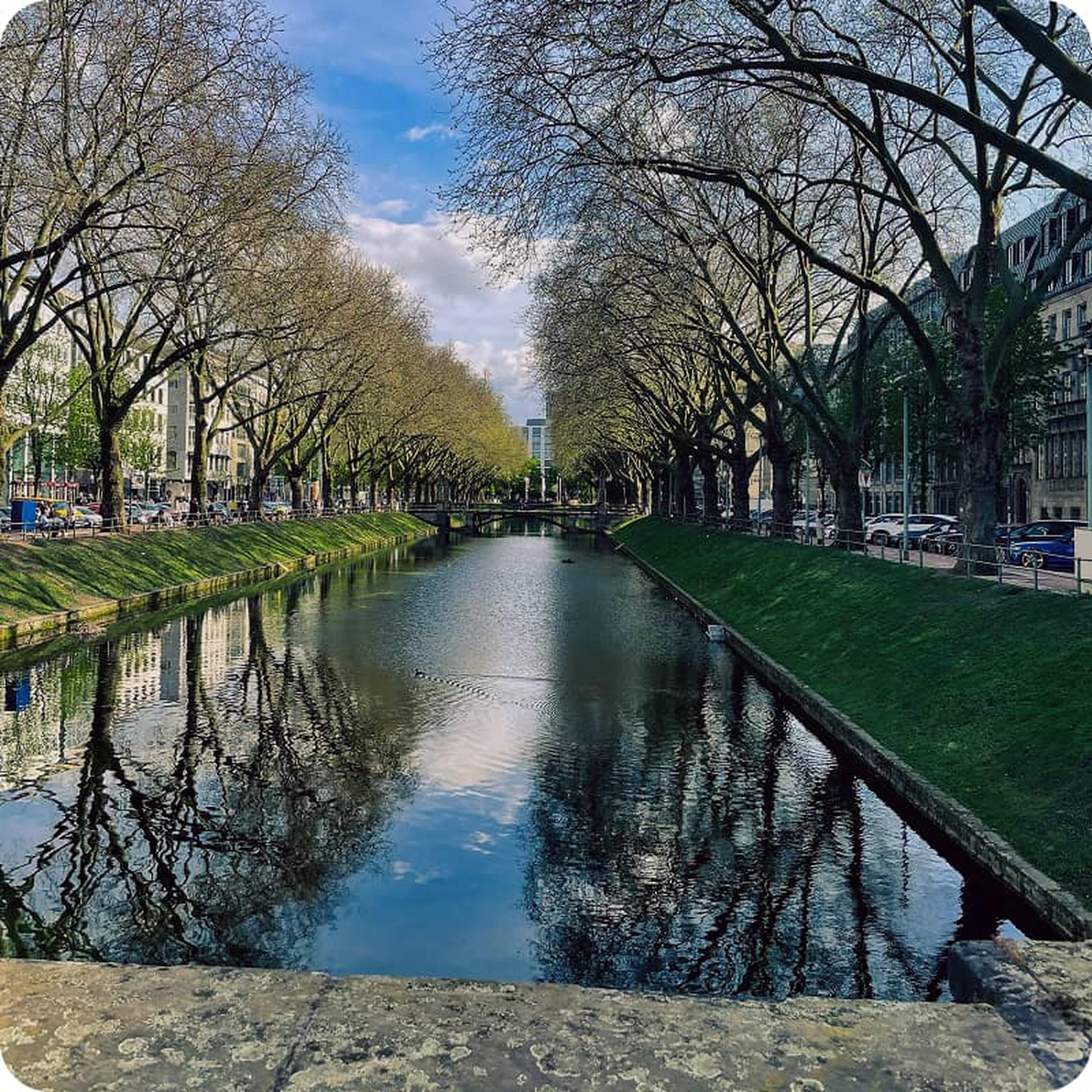 Koningsallee
