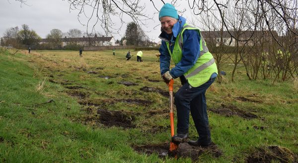  5 million trees planted for trailblazing Clyde Climate Forest 