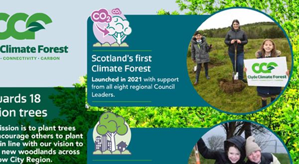  CCF towards 18 million trees leaflet 