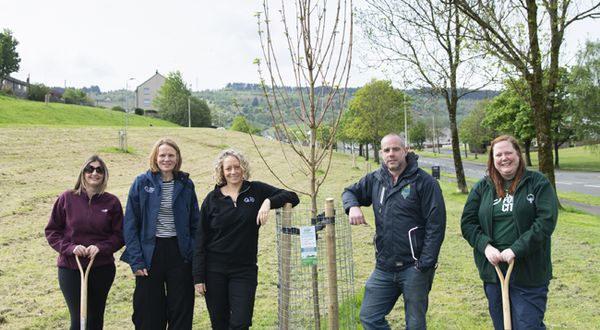 New avenue of trees for CCF in Renfrewshire