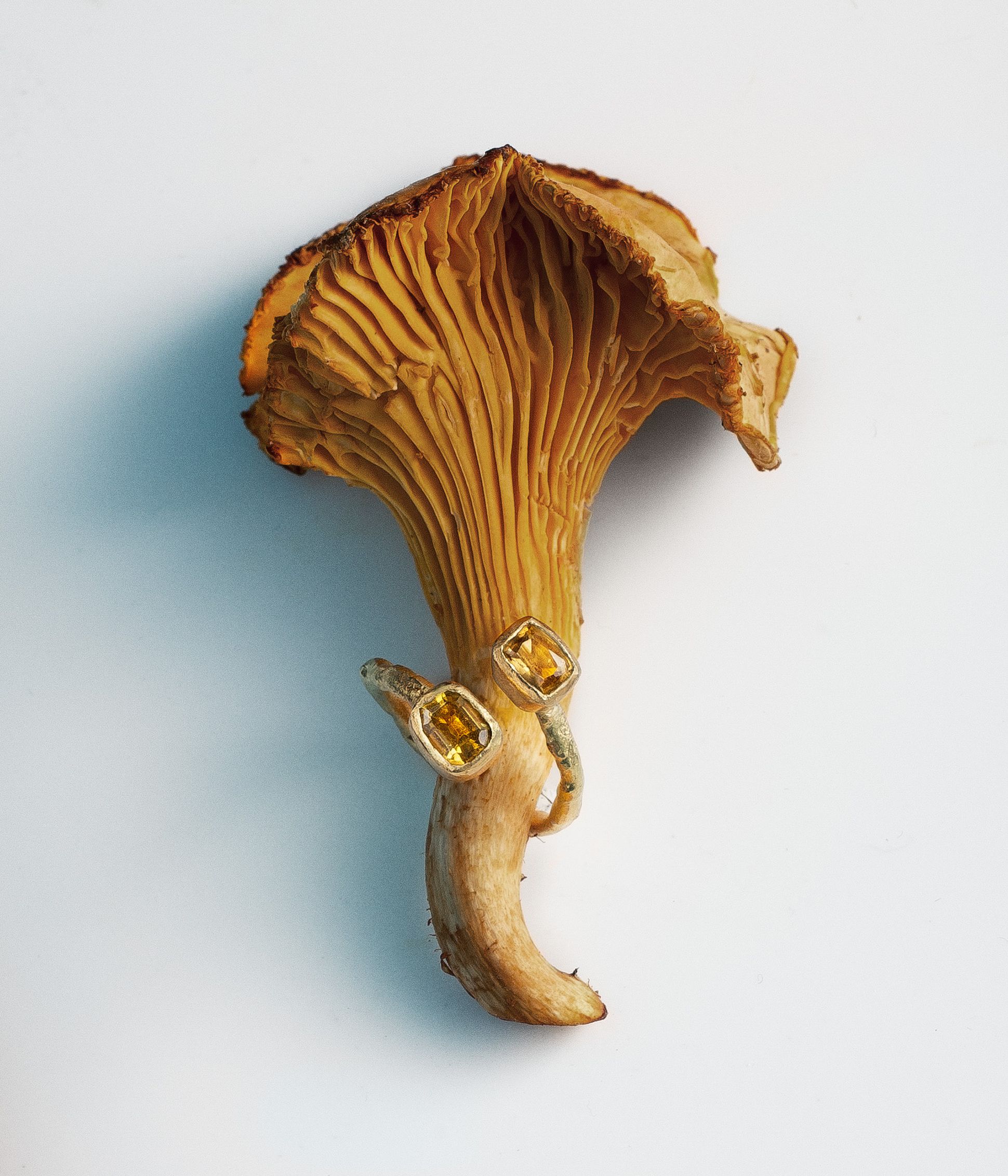 Bague en or ornée de deux pierres jaunes présentée sur un champignon séché, mise en scène artistique et automnale.