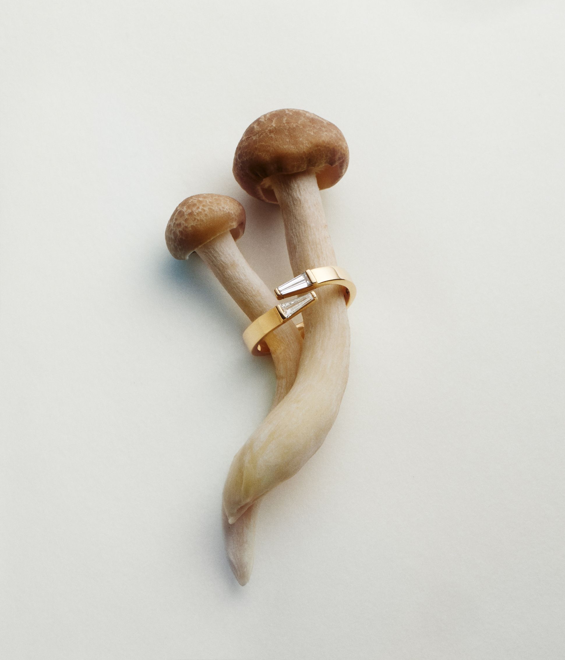 crea saint valentin champi