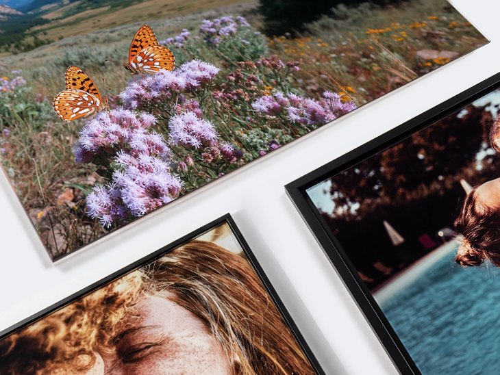 Drei gerahmte Acrylglasbilder in unterschiedlichen Formaten: Panorama mit Schmetterlingen und zwei Porträts im Hochformat