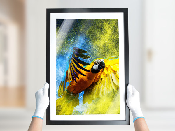 SESEAT Set 4 Cornici Nere 30.5x45.7 Cm Per Poster: Plexiglass HD, Appenderia A Parete, Cornici Moderne E Semplici