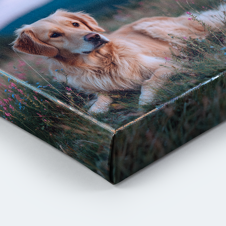 Detailansicht einer Leinwand-Ecke mit umgeschlagenem Rand und zwei Golden Retrievern auf einer Blumenwiese als Motiv