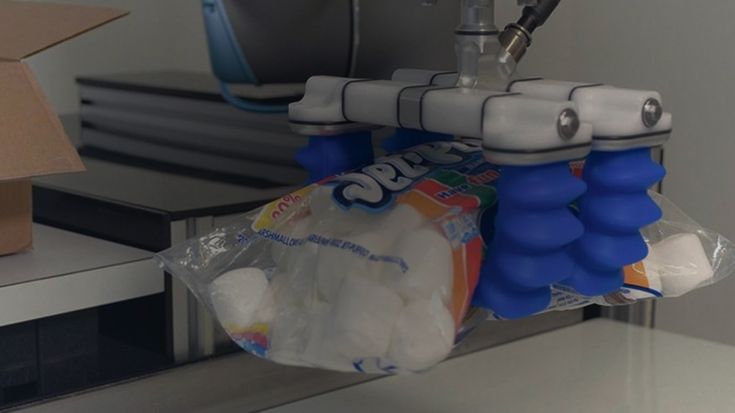 Garra robótica: entenda o que é e como é usada uma pinça robótica
