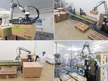 Palettisation : notre solution clé en main désormais en LOA (location avec option d’achat)