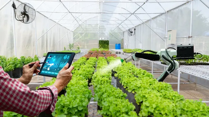 Agricultor controlando cobot con tablet en invernadero tecnologico aplicando automatizacion en la agroindustria