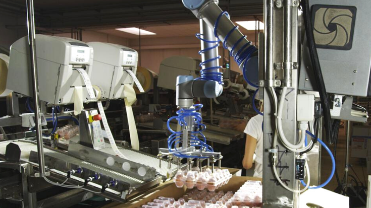 Roboter in der Lebensmittelbranche | Universal Robots 