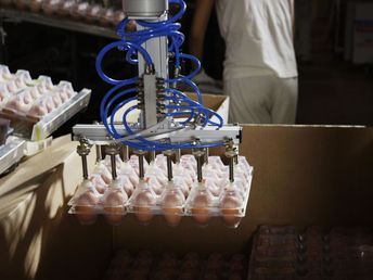 LAS APLICACIONES INDUSTRIALES DE LOS PALETIZADORES COBOT