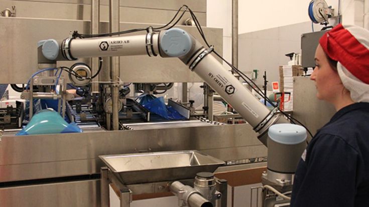 Leggi la guida e scegli il cobot giusto per il packaging alimentare