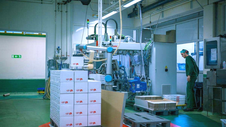 Van bakker tot elektronicafabrikant: een industriële robot voor elke sector