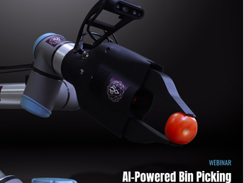 AI-Powered Bin Picking for E-Grocery
