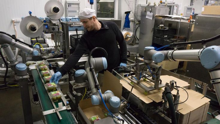Scopri come i cobot sono flessibili e sicuri per il settore alimentare