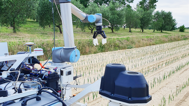 Das Projekt SMASH setzt auf einen Cobot, um Pflanzen zu untersuchen, Unkraut zu entfernen und Proben zu nehmen. 