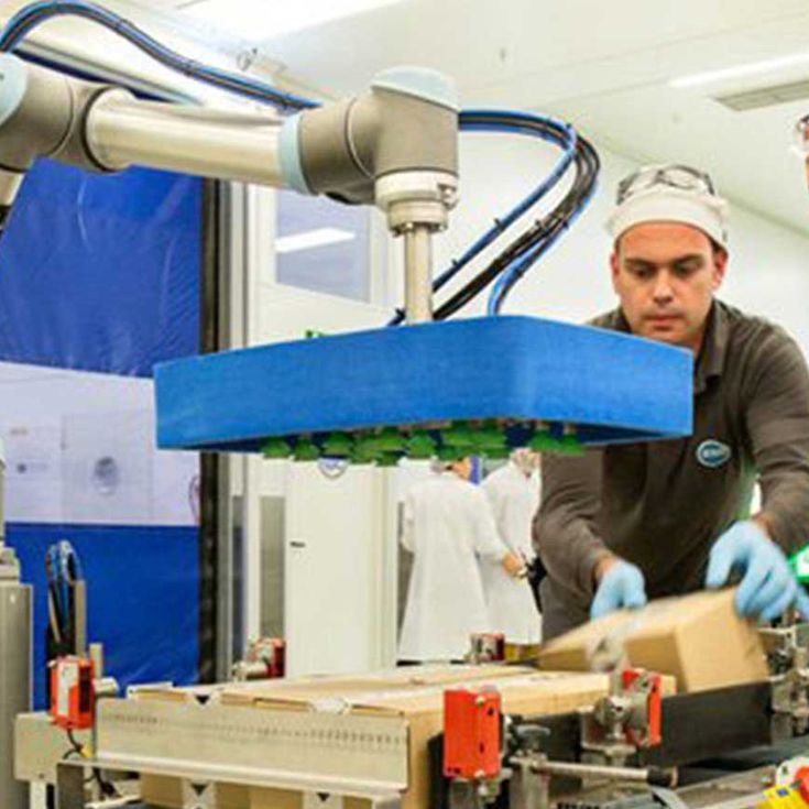 스페인 회사인 RNB 코스메티코스(RNB Cosmeticos)는 6대의 UR10을 팔레타이징 공정의 마지막 라인에 위치한 포장 작업에 통합하였습니다.