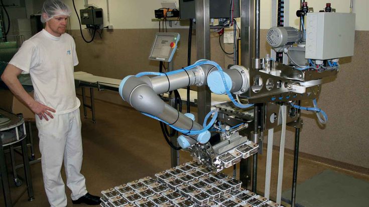 Cobot UR impiegati nelle aziende dell'industria alimentare