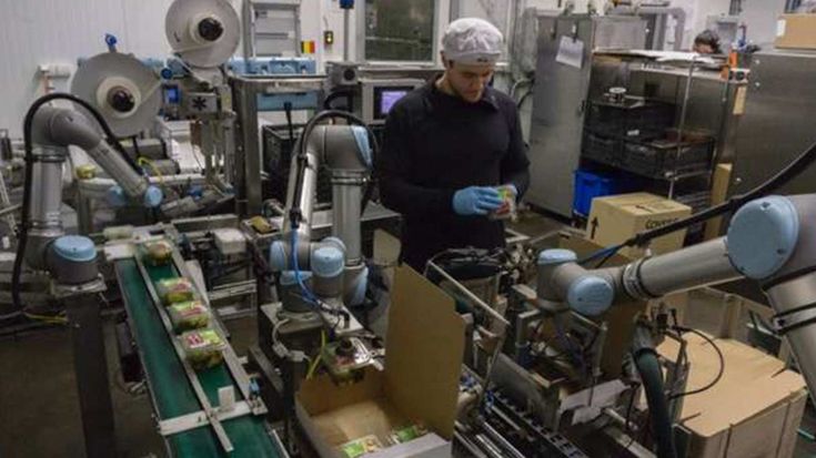 Atria Scandinavia는 UR5 코봇을 설치한 이후로 상자 폐기물을 25% 가량 줄였습니다.