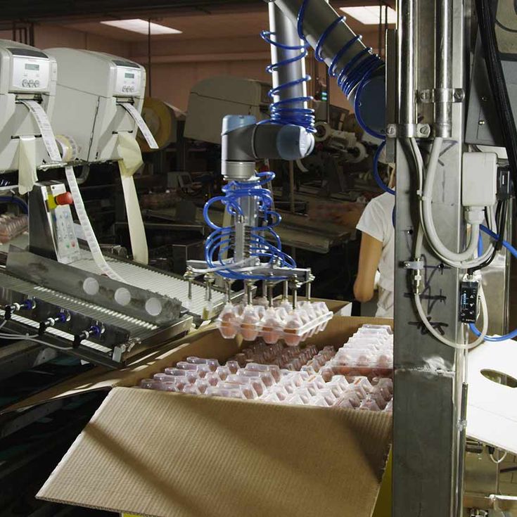 イタリアCascina社ではUR5ロボットが何百万という卵を扱います。これは協働ロボットが食品製造で担うEOL作業のほんの一例です。