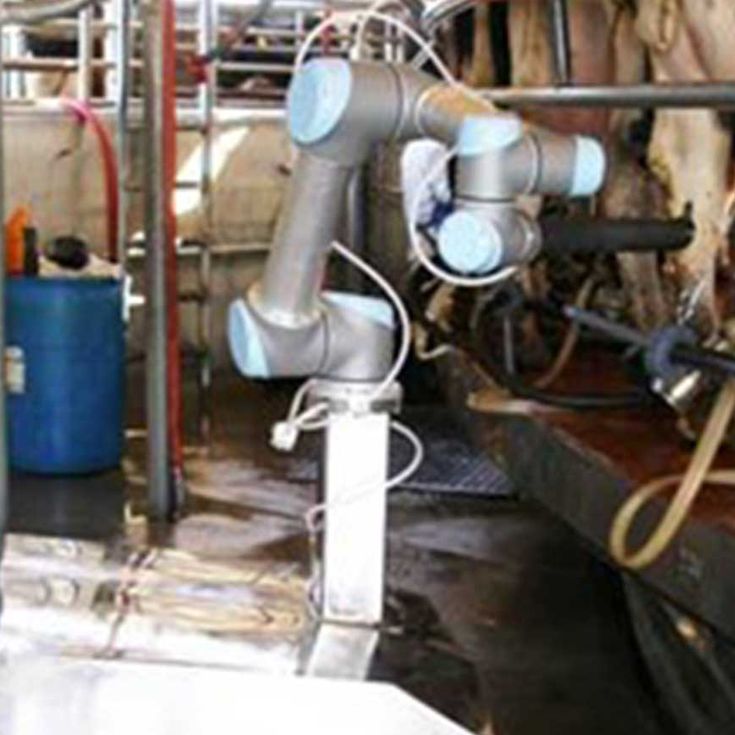 농업 현장에서의 협동 로봇