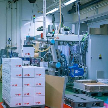 노르웨이의 육류 가공업체인 노르투라는 안전 펜스가 필요하지 않은 UR10을 활용해 공간 효율적인 생산 라인을 구축할 수 있었습니다.