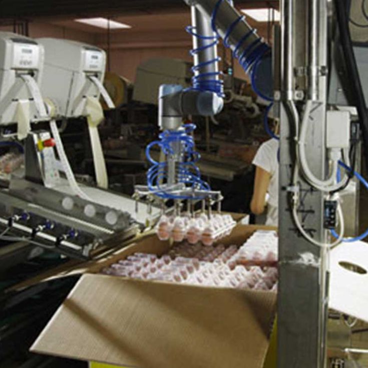 협동 로봇은 위생적인 식품 가공 환경에 이상적입니다.