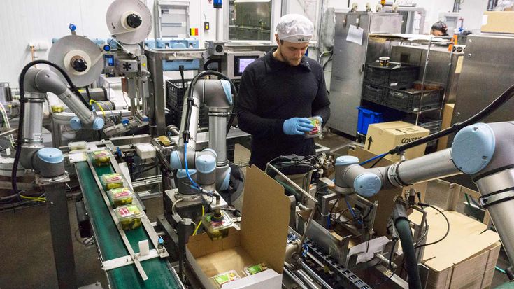 Packaging alimentare innovativo: tutti i vantaggi dei cobot