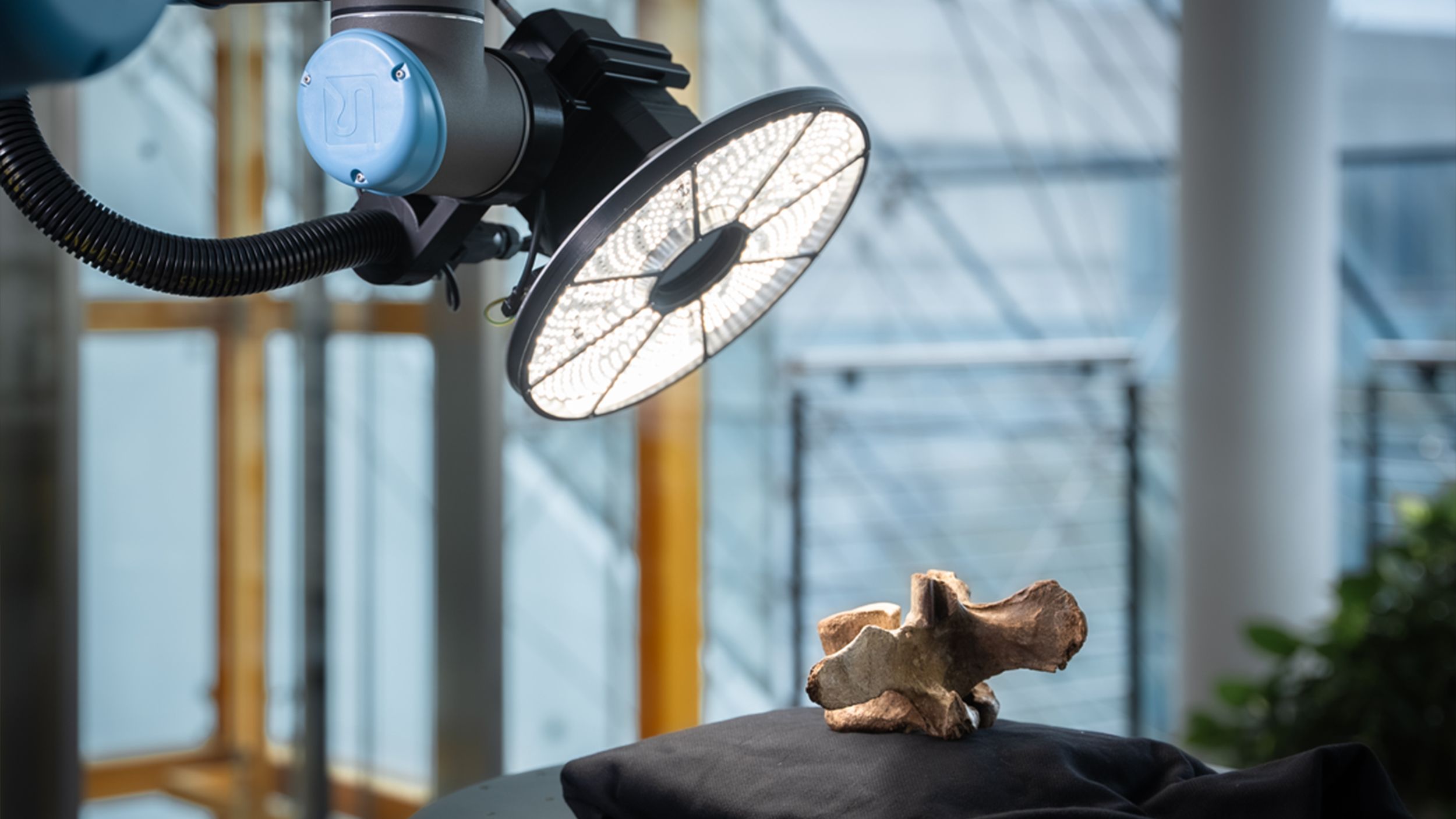 El CultArm3D escanea de forma fiable y precisa incluso formas complejas.