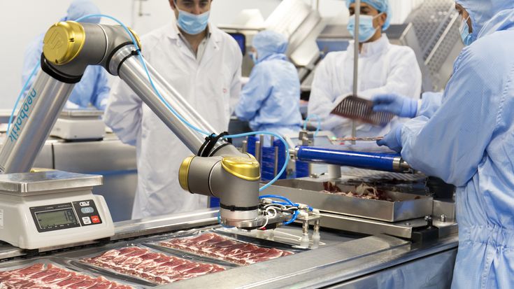 Tutte le applicazioni dei Cobot nell'industria alimentare
