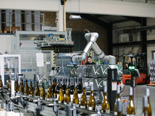 Embalaje y acondicionamiento