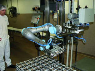 Manipulación de ingredientes