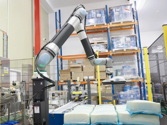 Seguridad alimentaria