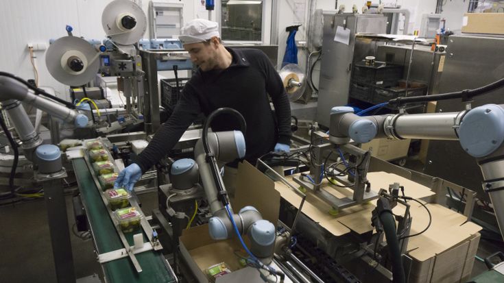 Indústria de bebidas: características, dores e o uso de cobots nas aplicações