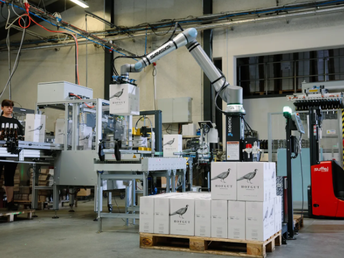 Automação para pequenas empresas: por que a paletização deve ser uma prioridade