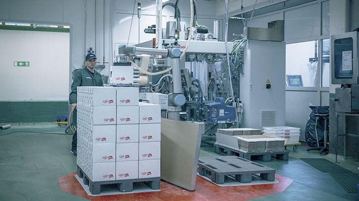 Robot per industria alimentare: 3 storie di successo