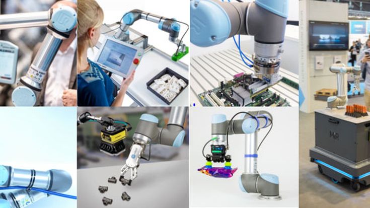 生態系統的優點