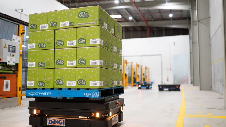 Cobs Australia Case Story