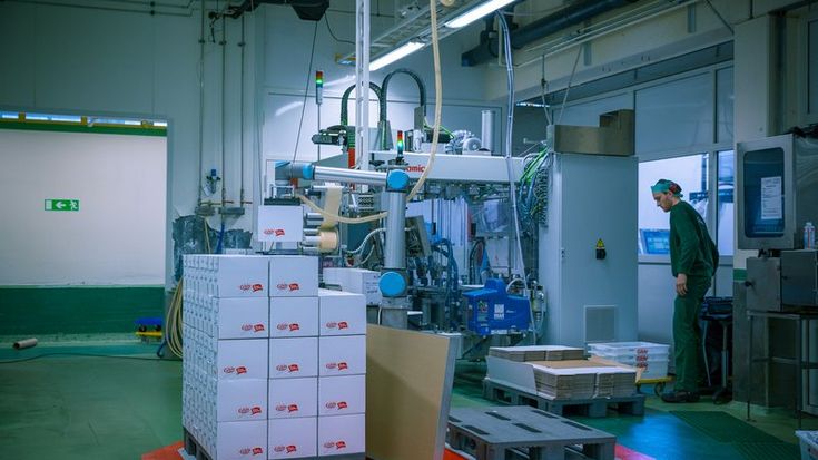 Les Robots Collaboratifs pour la palettisation et le conditionnement