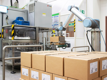 Paletizado automatizado: el fin del trabajo repetitivo y peligroso en las industrias