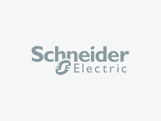 Schneider logo