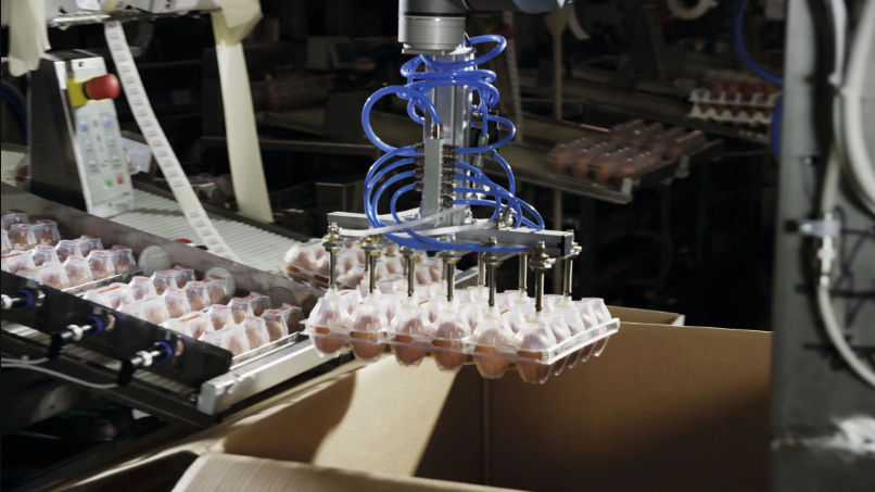 Robots colaborativos en la industria de Alimentos y Bebidas