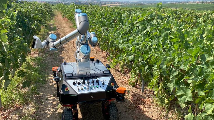 Robots para agricultura | Universal Robots