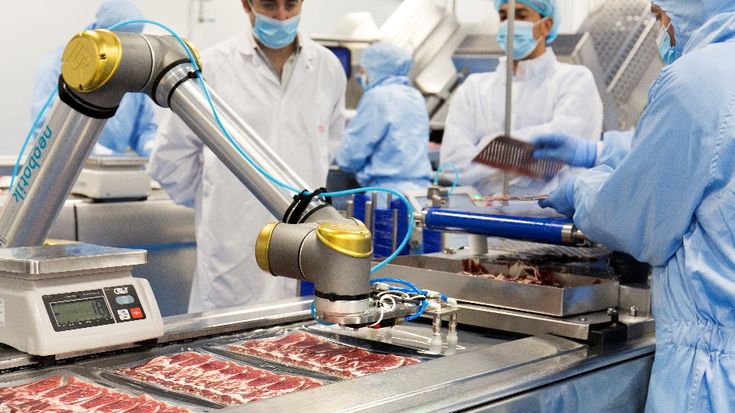 Les apports de la cobotique pour le secteur de l'emballage alimentaire