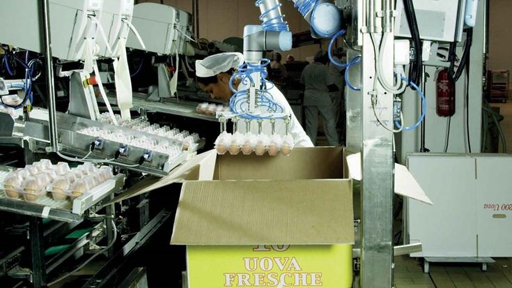 Robots Colaborativos en el Sector Alimentario | Universal Robots