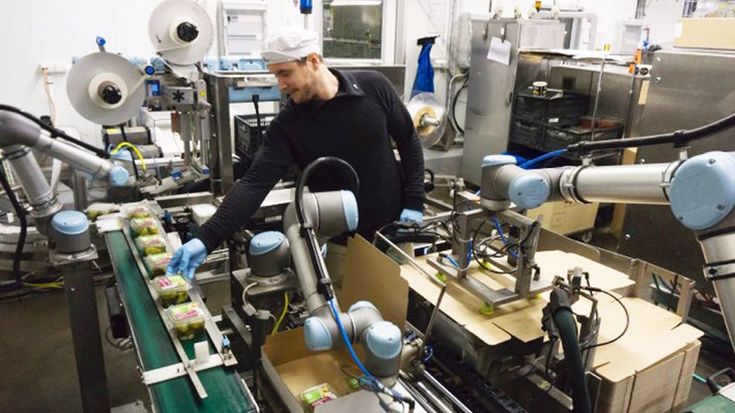Cobots helfen in der Nahrungsmittelindustrie häufig bei Pick &amp; Place und Verpackungsprozessen.