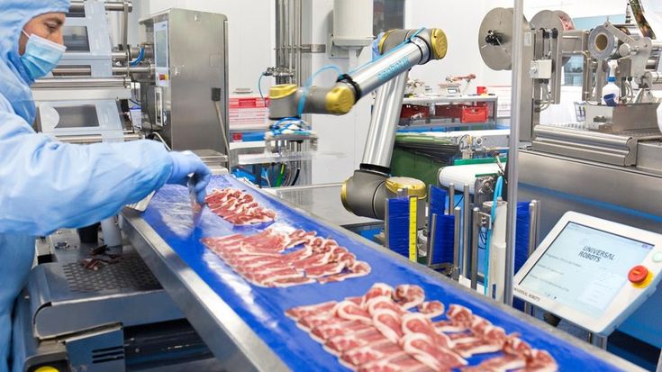 Cobots en la industria alimentaria: mayor productividad e higiene en los procesos
