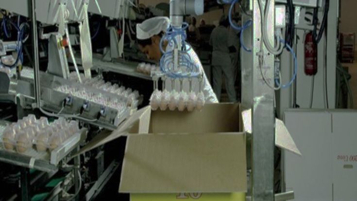 Las mejores aplicaciones de robots en la industria alimentaria