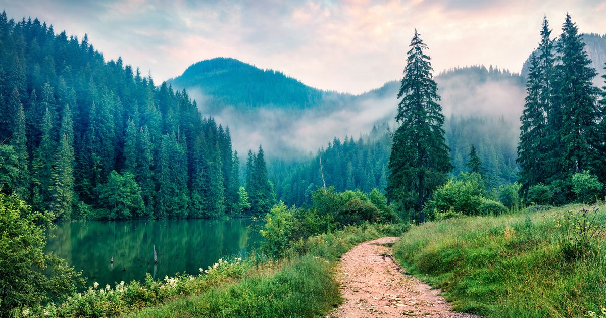 Redwood Materials expands into Europe