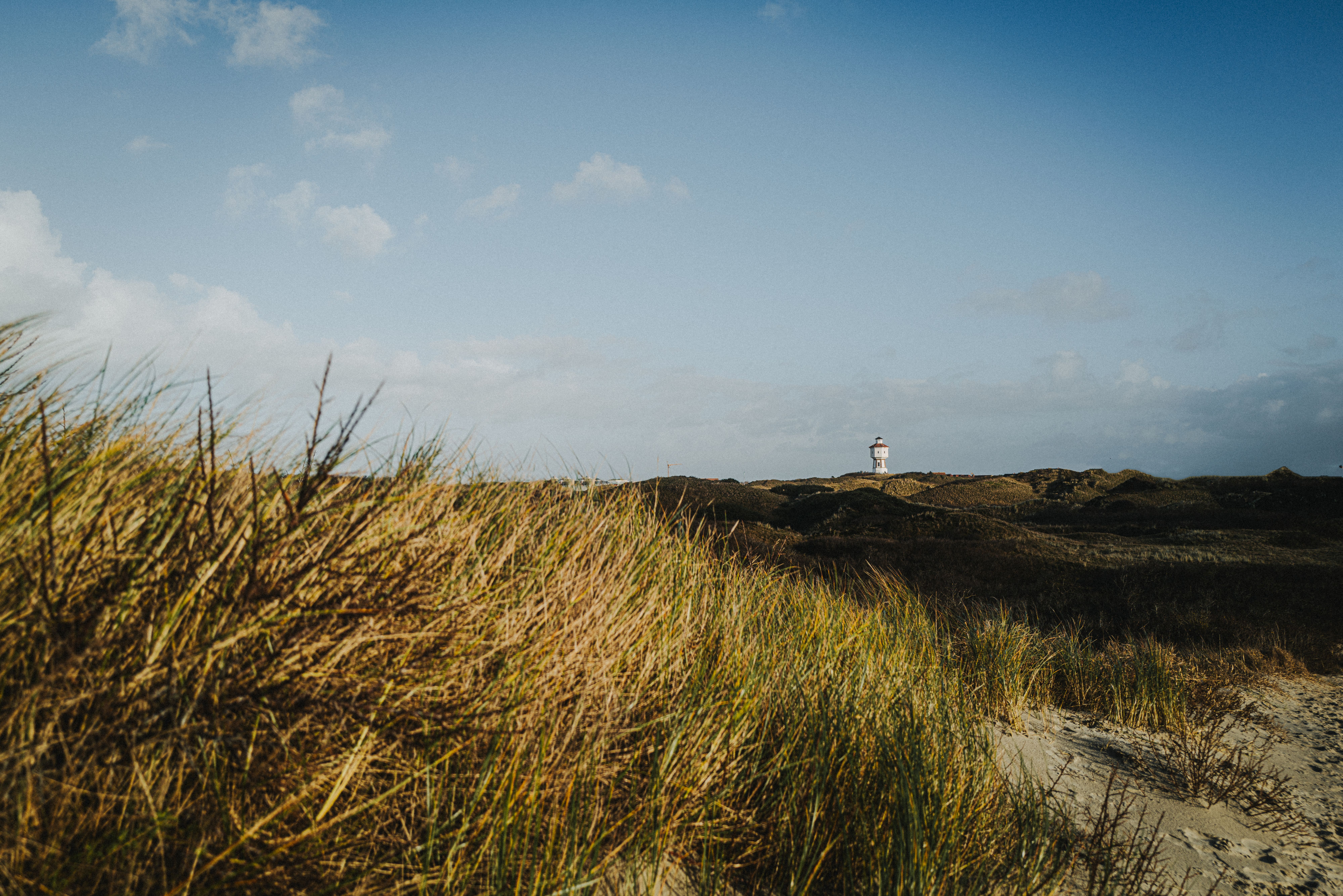 No image description available